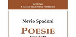 Poesie 1985-2017