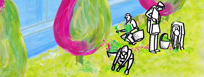 Verdeggiando grafica Ilaria Cesari