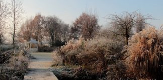 le paradis des papillons