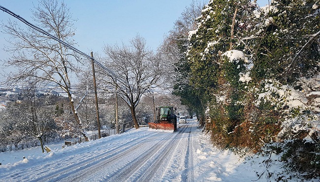neve 005
