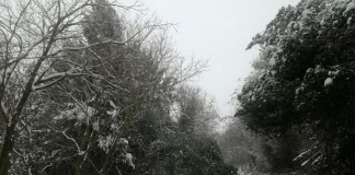 Rimini. Neve e gelo: Anthea intensifica gli sforzi Anthea_intervento_maltempo