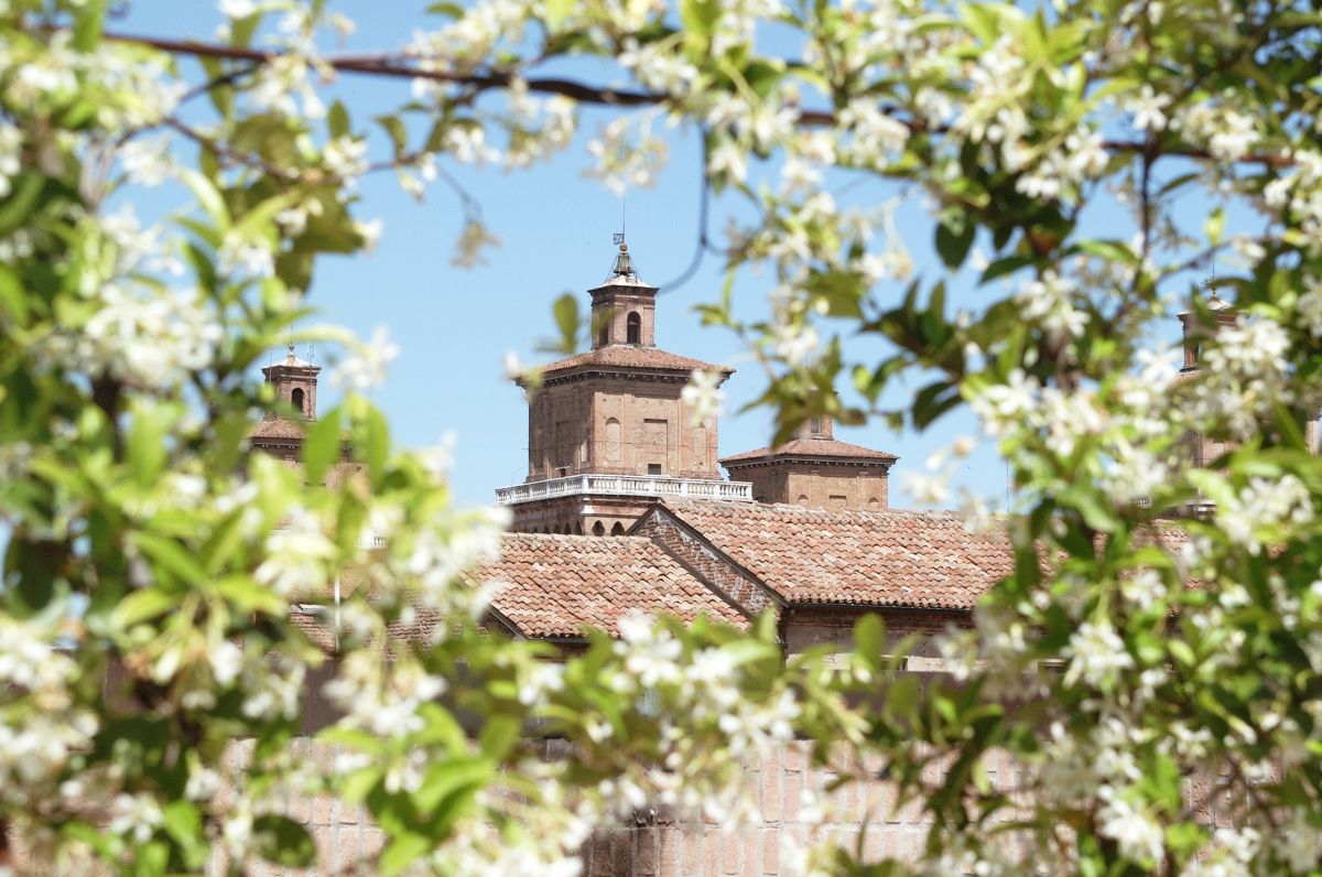 castello_tra-_fiori