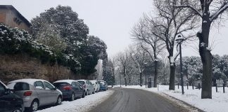Maltempo: continua a colpire dalle prime ore della mattina la città la perturbazione nevosa proveniente da Nord neve 101 - via bastioni ore 11,30