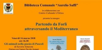 partendo da forlì attraversando il mediterraneo