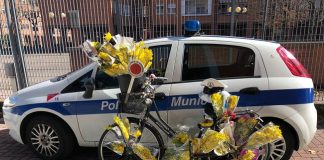 sequestri-mimose-8-marzo-2018