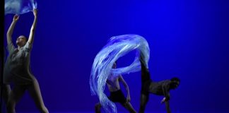 “La Via Zamboni” musica, danza, spettacoli e incontri: ecco tutti gli eventi e le attività di marzo per scoprire e vivere una delle zone più interessanti della città sinfonia
