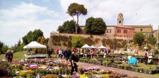 SalusErbe: oggi la giornata conclusiva Saludecio