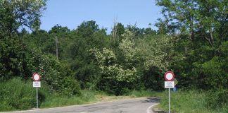 Provincia di Modena: Serramazzoni, al via i lavori sulla sp 36 di Malandrone provincia di Modena