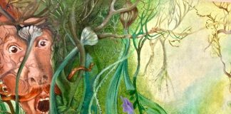 Da mercoledì 11 aprile si apre lo scrigno dei Giardini illustrati a Wunderkammer Ferrara