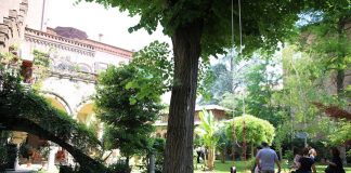 Interno Verde, il bilancio della terza edizione interno verde