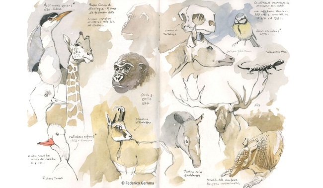 Ferrara