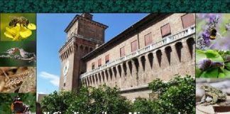 FERRARA