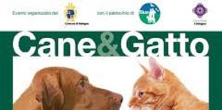 “Cane e gatto, due stili a confronto”, questa sera il convegno al Baraccano convegno