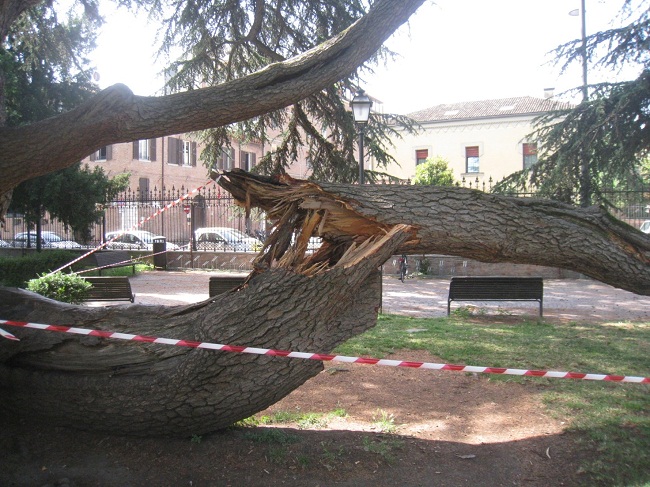 Ferrara