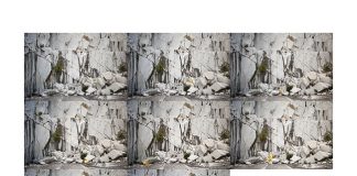 Inaugurazione mostra “Habitus”, questa sera nell’Ex Oratorio di San Quirino Parma