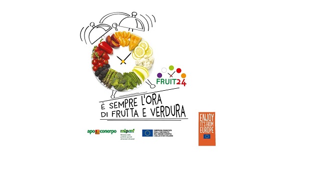 Fruit24