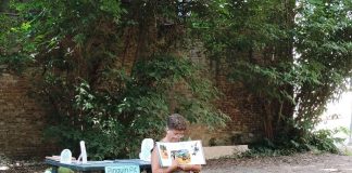 Sotto l’ ‘Albero delle storie’ si ‘ride a crepapelle’ con i racconti di Irene Catani ferrara