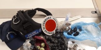 Esito di Controlli ordinari rinforzati tra la Stazione e via Foro Boario Ferrara