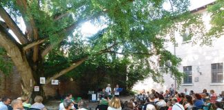 Successo della Festa di Ferragosto all’Ariostea