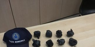 Apache colpisce ancora, il vigile a quattro zampe trova 20 involucri con marijuana in Montagnola bologna
