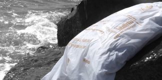 Apre i battenti oggi la mostra “Topi da biblioteca”