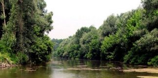 storia e storie dal fiume Reno