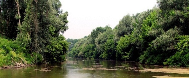 storia e storie dal fiume Reno