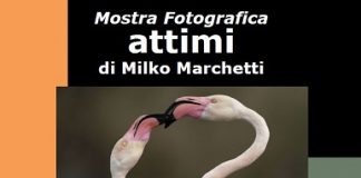 ‘Emozioni naturali’ raccontate con immagini e parole dal fotografo Milko Marchetti