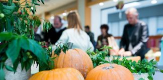Al Mercato Coperto: mercoledì 31 ottobre festa di Halloween per grandi e bambini