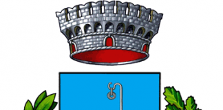 Pianoro, parte una raccolta fondi a sostegno del rifugio che salva la vita ai gatti