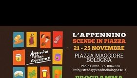 È arrivato l’albero di Natale in piazza Nettuno, si accenderà sabato 24 novembre