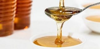 Unibo. Lo straordinario mondo nascosto del DNA ambientale del miele