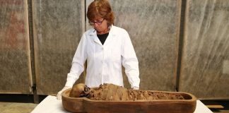 Storie d’Egitto, per riscoprire la raccolta egiziana dei Musei civici,