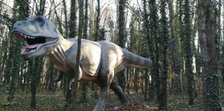 Provincia di Modena: a S.Prospero prosegue “world of dinosaurs”