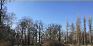 Provincia di Parma: Giardino della Reggia di Colorno, oggi la consegna dei lavori