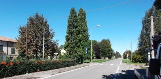 Provincia di Reggio Emilia: Cadelbosco, la Sp 40 diventerà più sicura