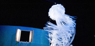“C’era 2 volte 1 cuore” al Teatro Filodrammatici di Piacenza, dal 20 al 22 febbraio