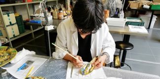 In mostra le 18 maioliche della collezione del Museo Correr di Venezia restaurate al MIC di Faenza