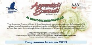 ‘Indovina chi è?’: giocando con gli animali tra le sale del museo