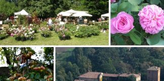 L’11 e 12 maggio 2019, la V edizione di FRUTTI ANTICHI Primavera