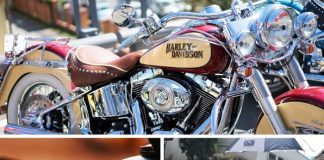 Italy 500 Miles il 27 e 28 aprile 2019 a Parma