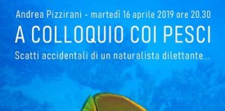 “A colloquio coi pesci”: serata alla scoperta della barriera corallina del Mar Rosso