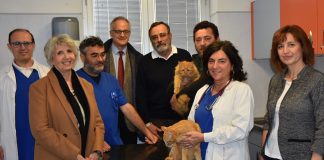 Porte aperte al microchip: grande affluenza per la campagna 2019