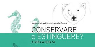 Ferrara, “Conservare o estinguere? a noi la scelta”