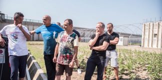 Interno Verde al Galeorto: apre a maggio l’orto dei detenuti