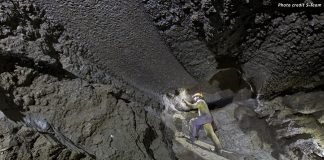 Visita guidata alla mostra dedicata a suolo e sottosuolo e alla grotta didattica