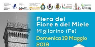 Una giornata per scoprire “Il grande mondo delle api: non solo miele”