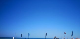 Più protezione per i piccoli del fratino sulla spiaggia del Marano