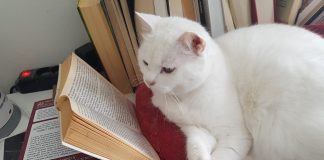 Ultimo appuntamento della prima edizione LIBRI & CODE