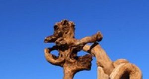 “Concrete illusioni” a Piacenza